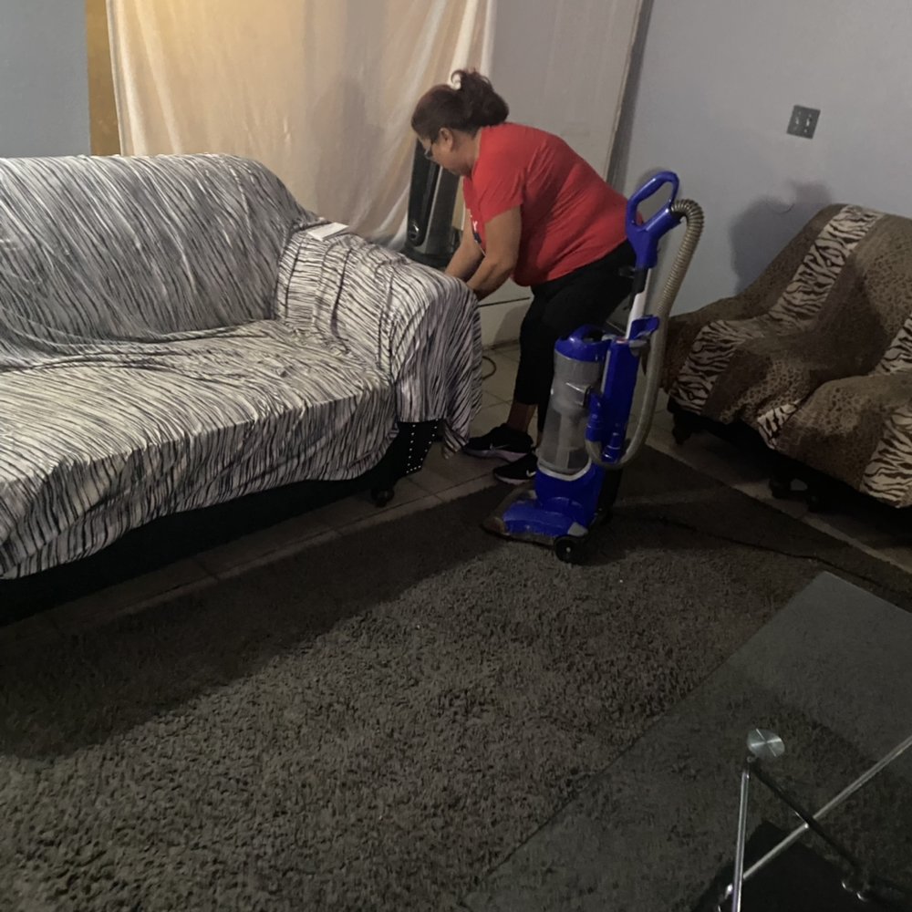 Wild Cleaning