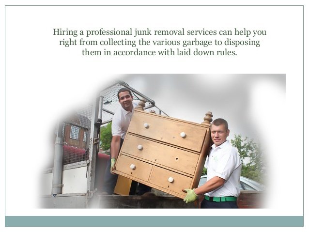 Matt's Junk Removal & Landscaping Service
