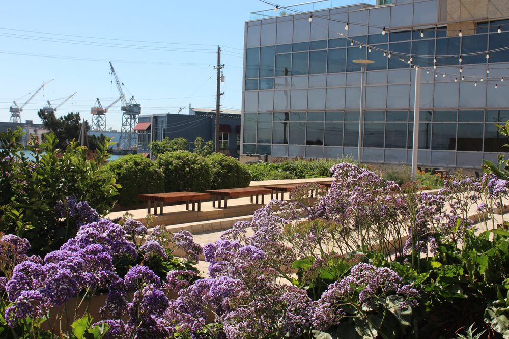 Stem Kitchen Bocce Ball Court Yelp Photo Of Antonia Bava Landscape Architects San Francisco Ca United States Stem