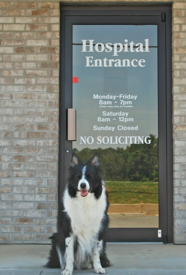 Bells Ferry Veterinary Hospital Veterinarians 6410 Hwy 92 Acworth, GA Yelp