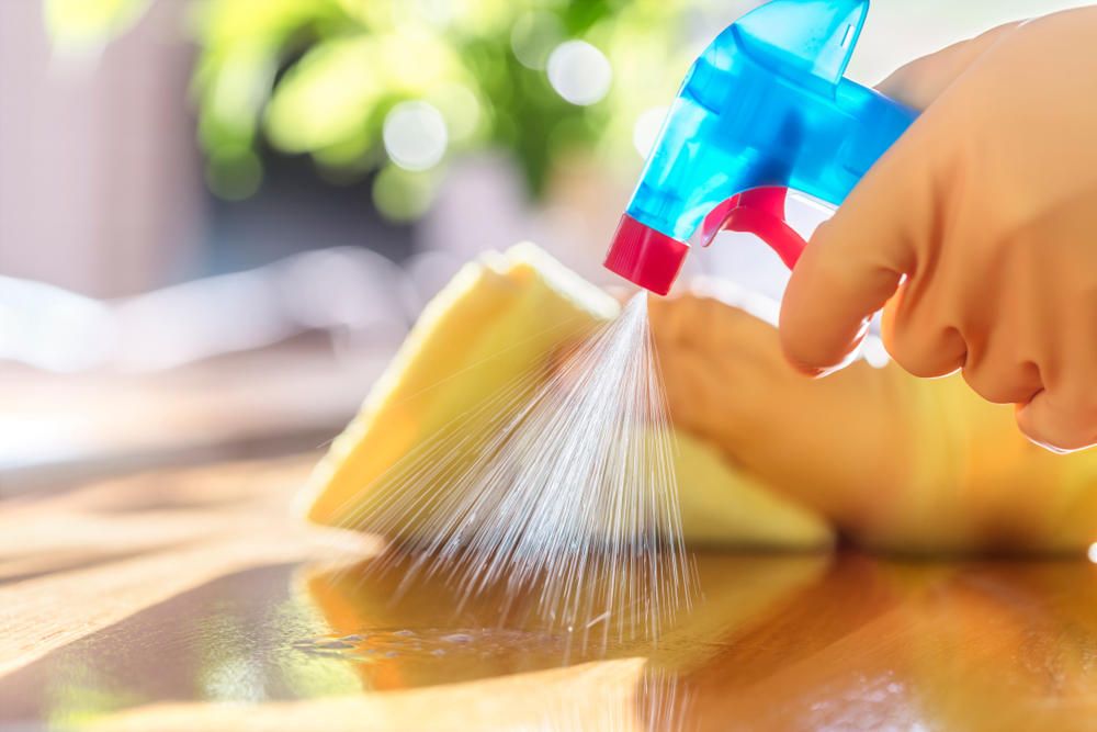 Me and Mom's Cleaning Services Unlimited