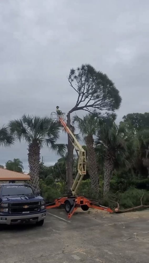 Category 5 Tree Service