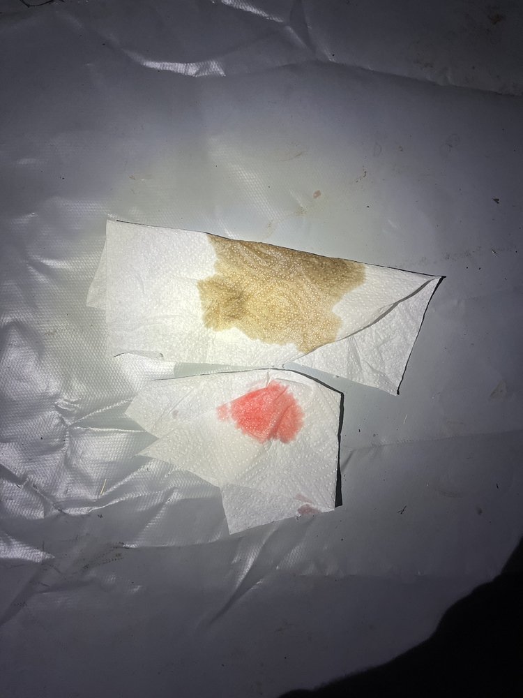 Precision Tune Auto Care