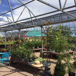 Civano Nursery Inc 91 Photos 26 Reviews Nurseries Gardening Photo Of Civano Nursery Inc Tucson Az United States