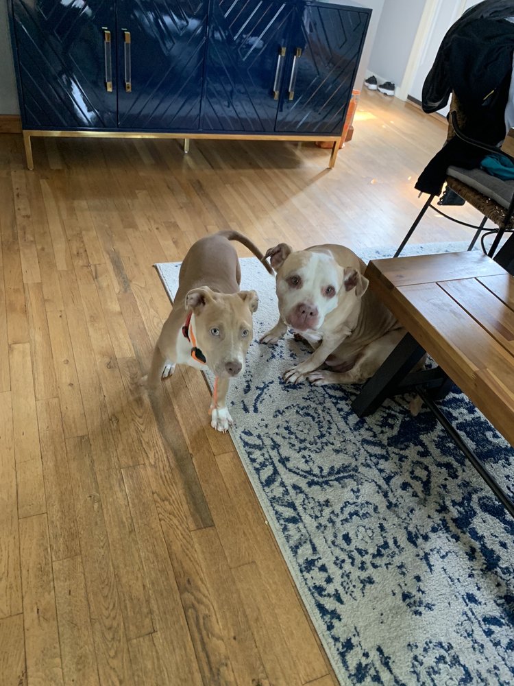 Beacon Falls Animal Hospital