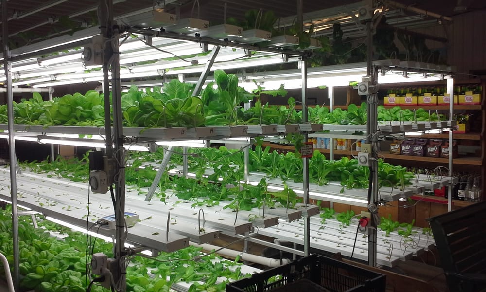 Yutzy’s Farm Market 25 Reviews Farmers Market 6010 Converse Huff