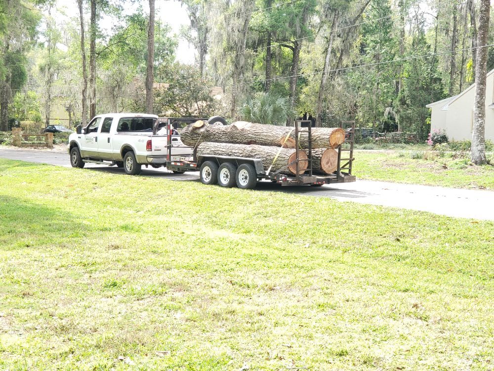 a better clean and cut tree service