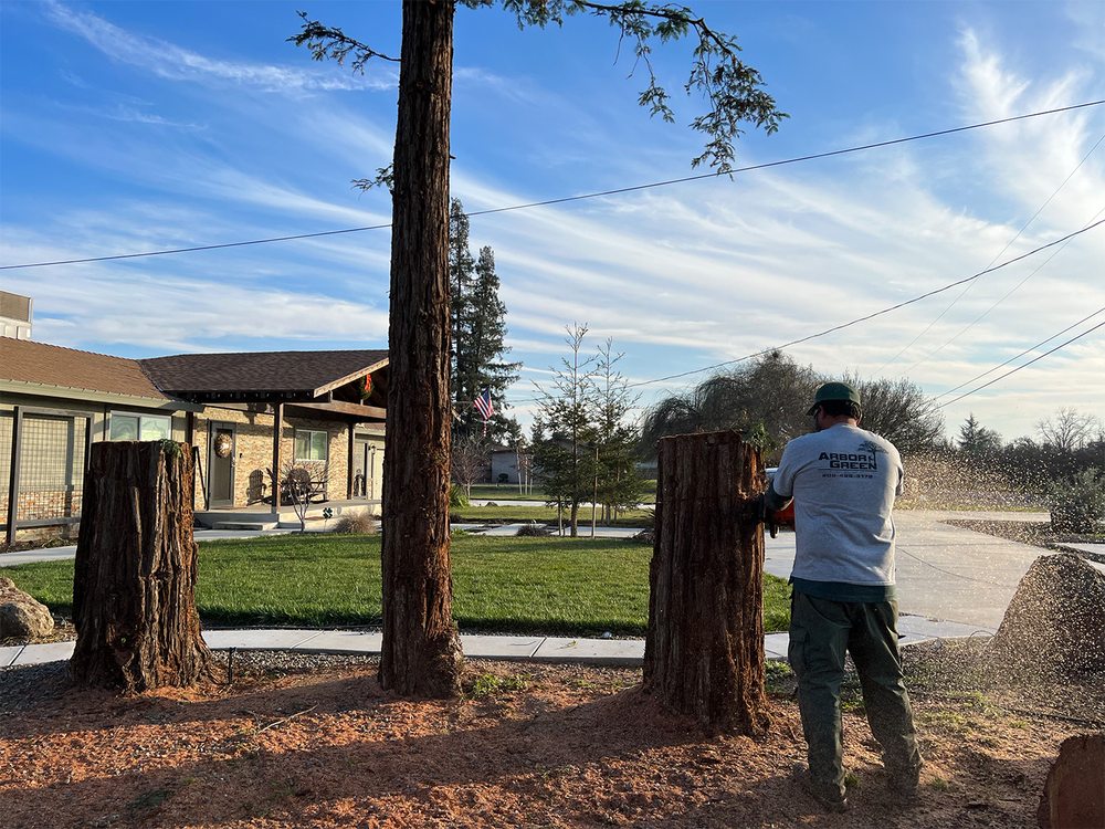 Arbor Green Tree Service