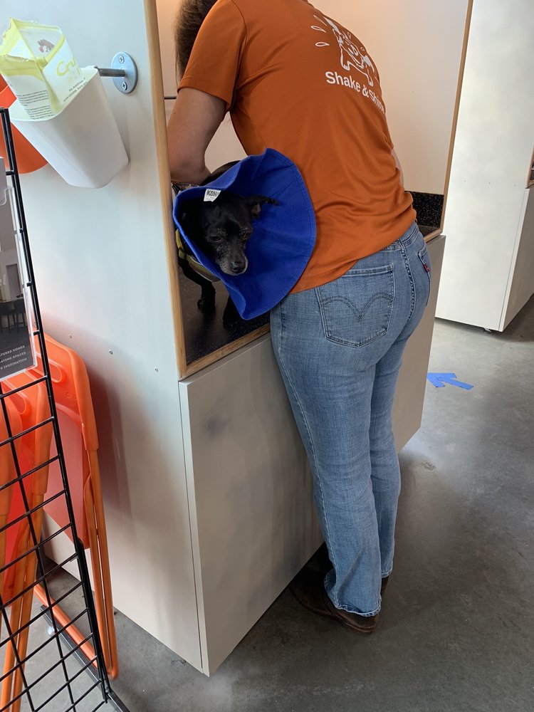 Shake & Shine Canine Wash and Deli