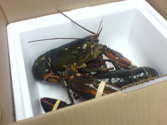 James Hook & Co 1332 Photos & 1094 Reviews Seafood 1517 Northern