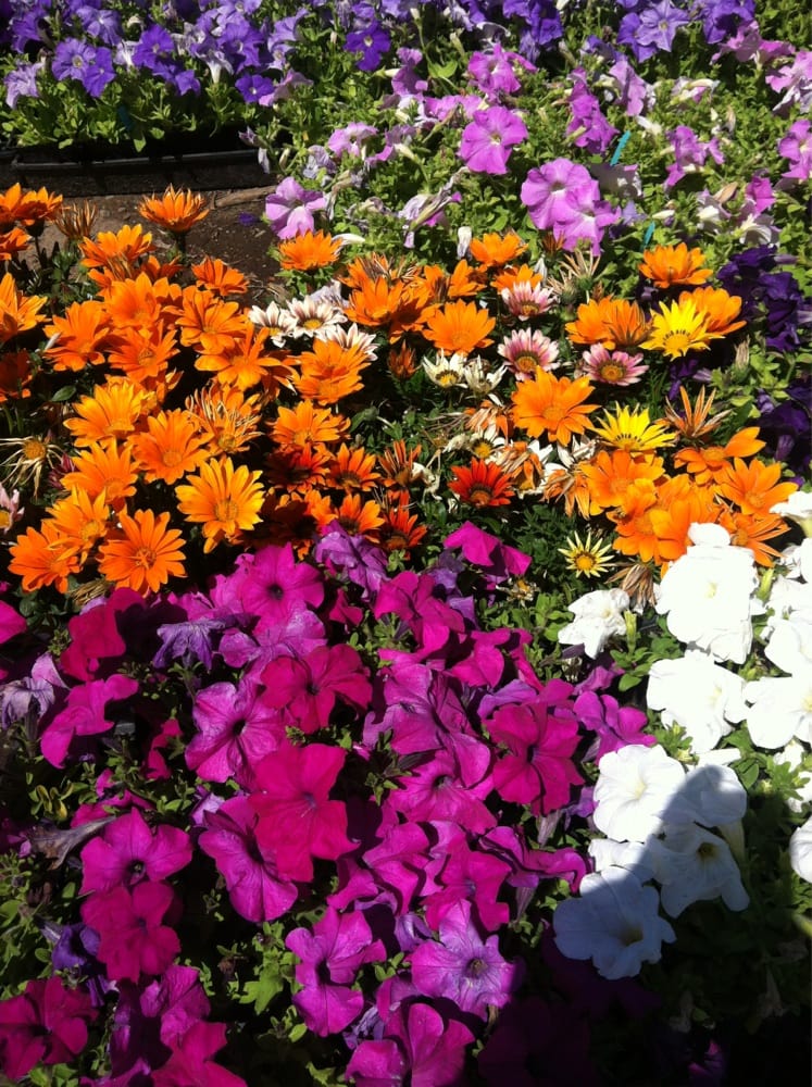 Vineland Nursery Nurseries & Gardening North Hollywood North