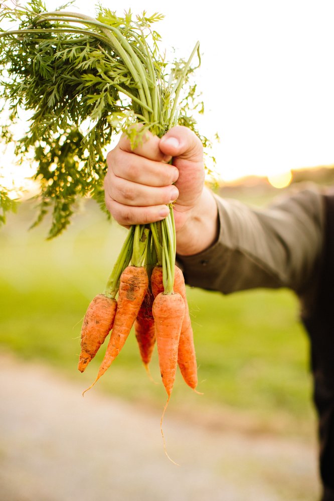 Farm Grub