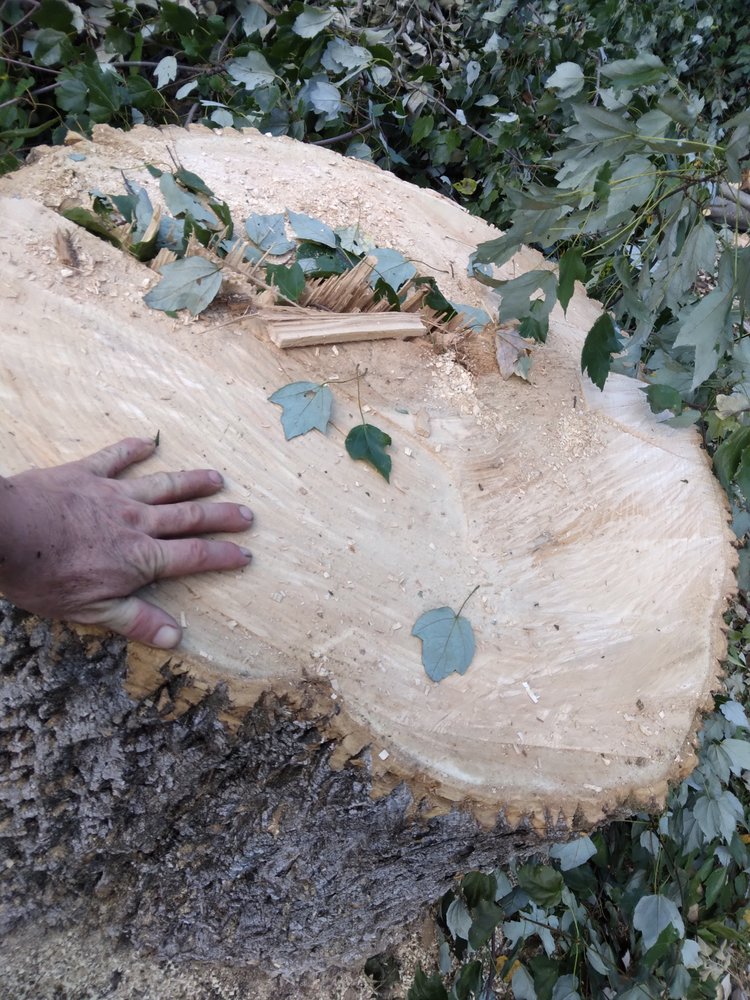 Two Brothers Tree Service and Landscaping