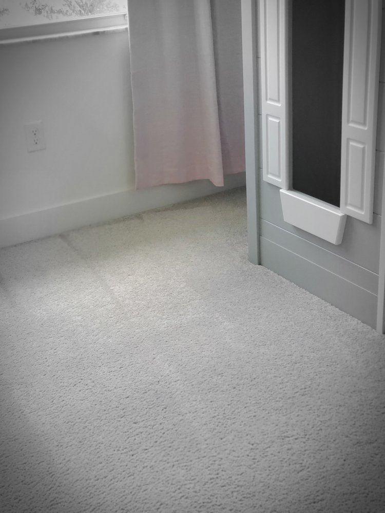 Dolphin Carpet Cleaning & Restoration
