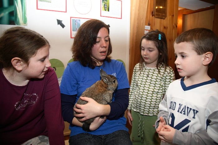 Hudson Highlands Nature Museum