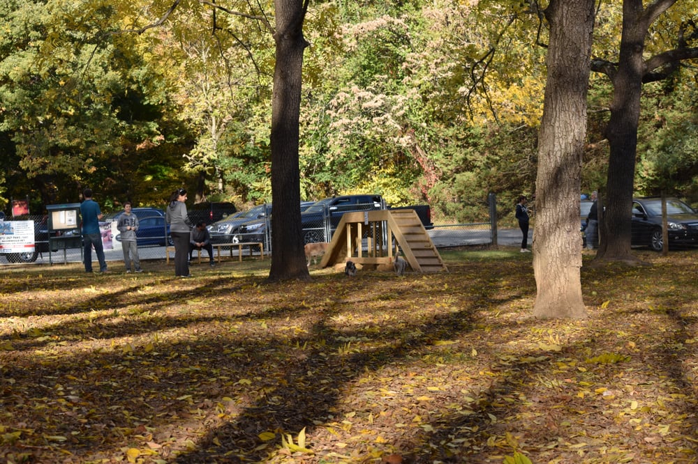 Morris Central Park Dog Park 16 Photos & 26 Reviews Dog Parks Old