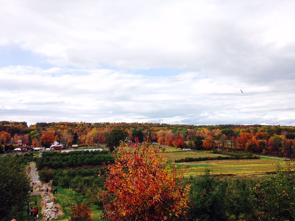 Wilklow Orchards 37 Photos & 12 Reviews Fruits & Veggies Highland, NY Phone Number Yelp