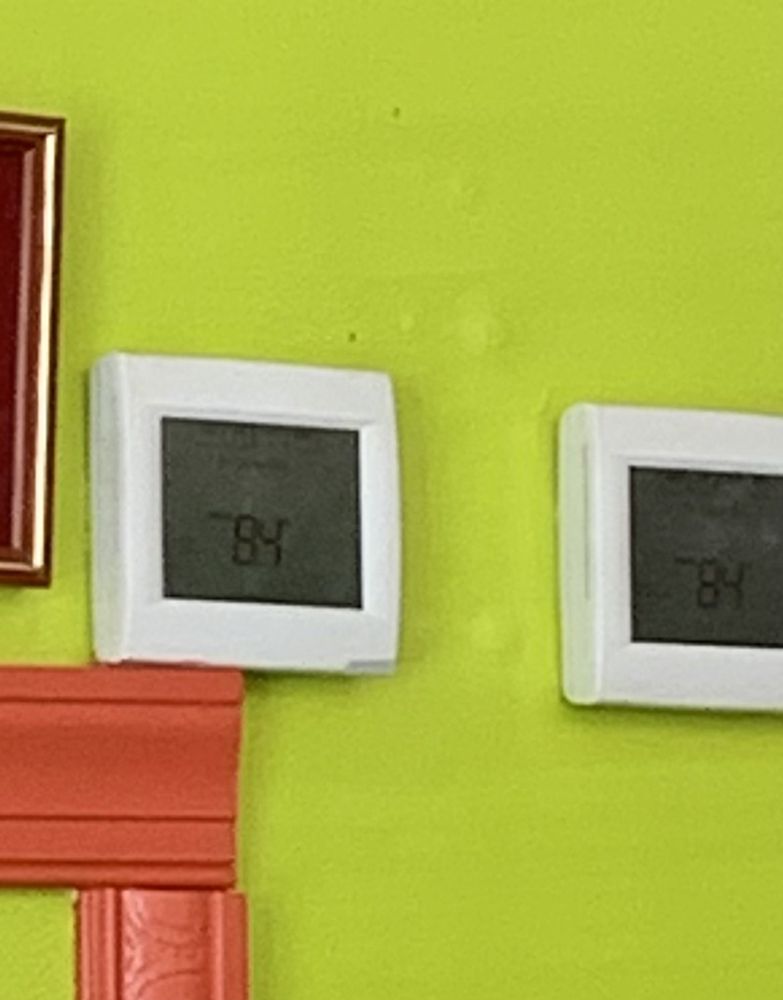 A Taste of El Salvador