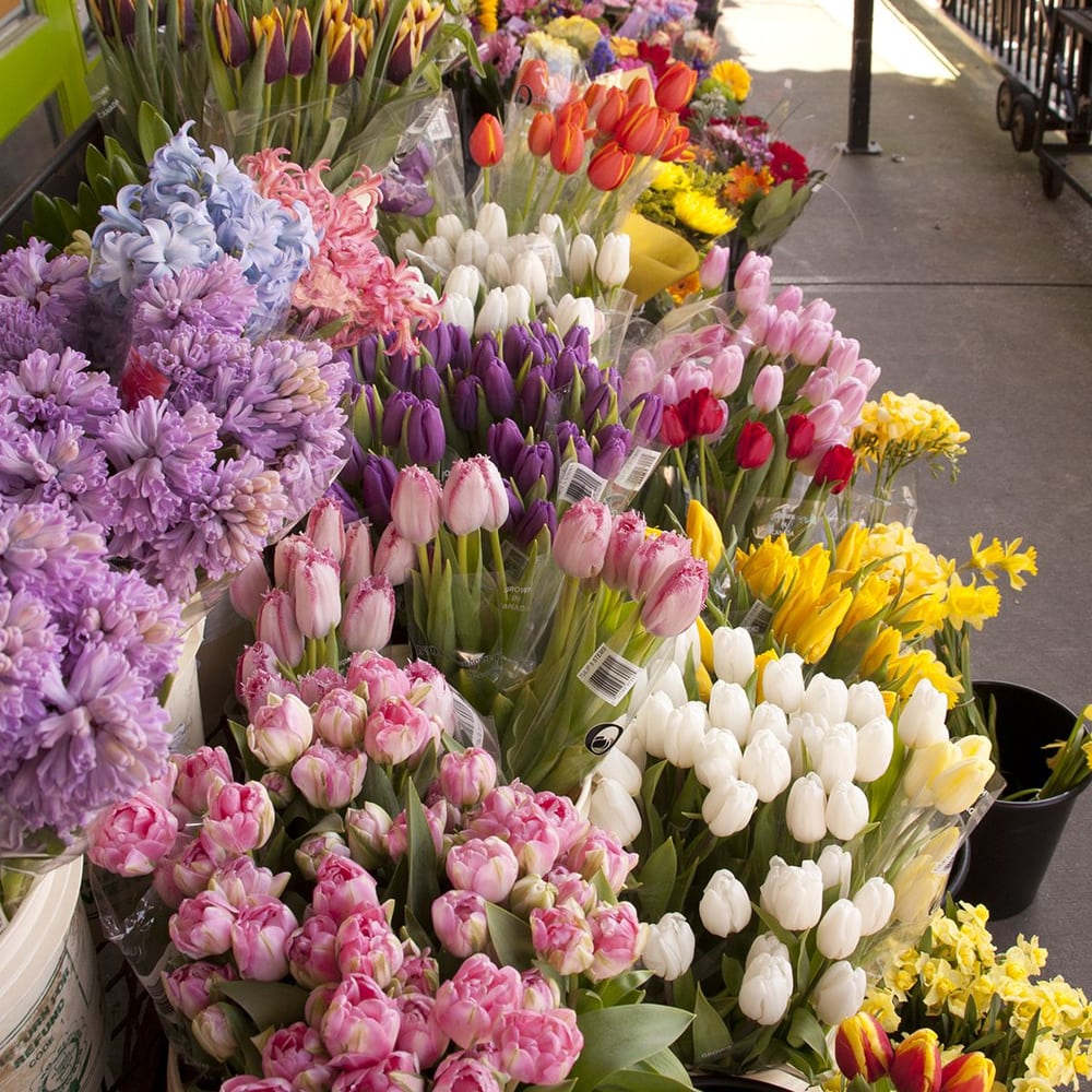 Uptown Florist 10 Reviews Florists 331 6th Street, New Westminster, BC Phone Number Yelp