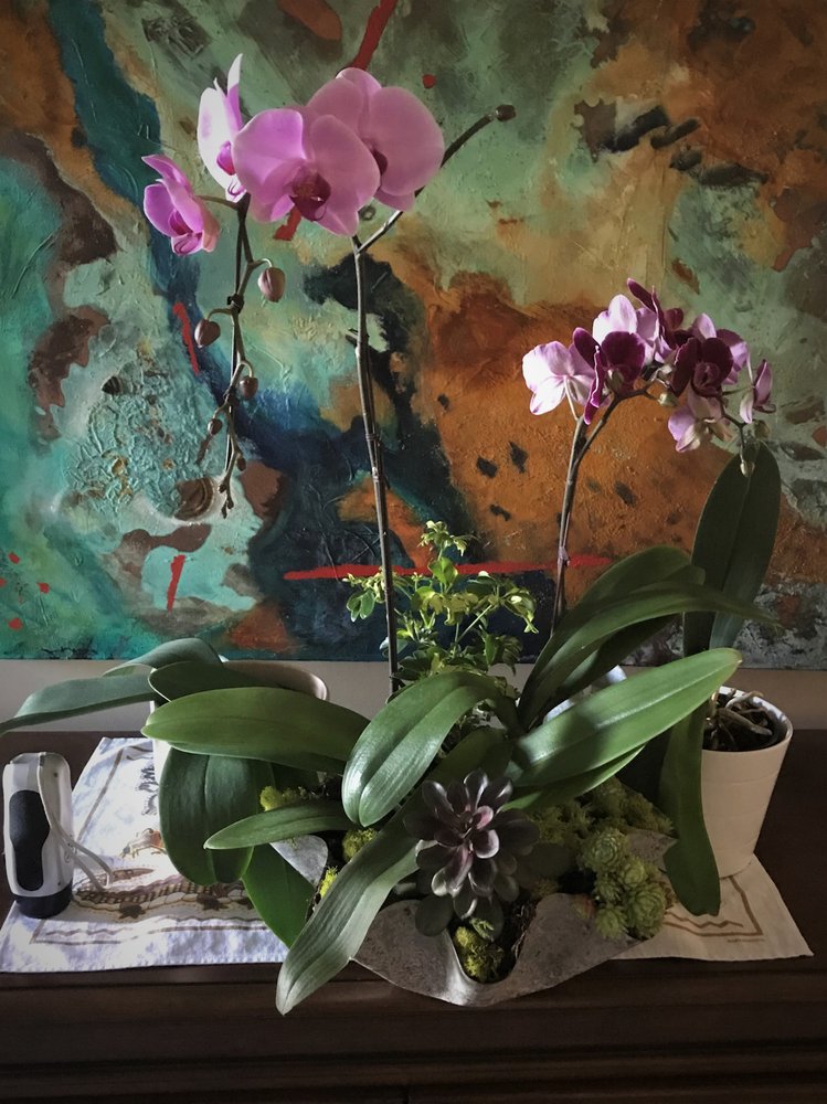Umberto's Flowers