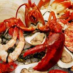 The Best 10 Seafood Restaurants Near Farallon In San Francisco Ca Photo Of Farallon