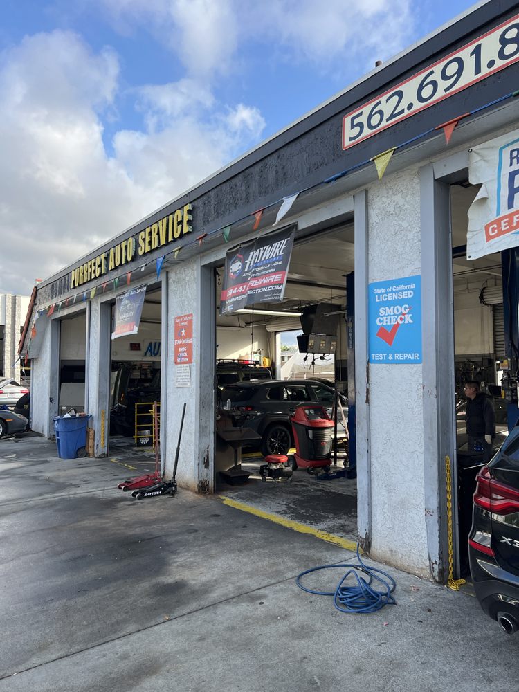Purrfect Auto Service