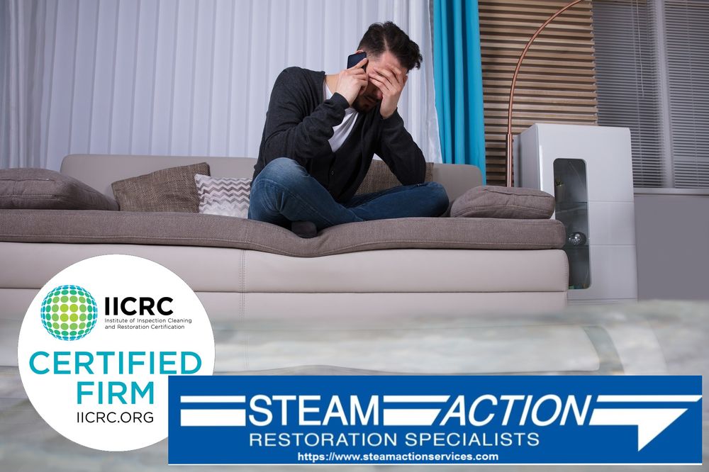 Steam Action Carpet Cleaning  & Restoration Specialists