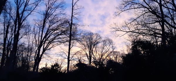 Death, Dying & Life Counsel