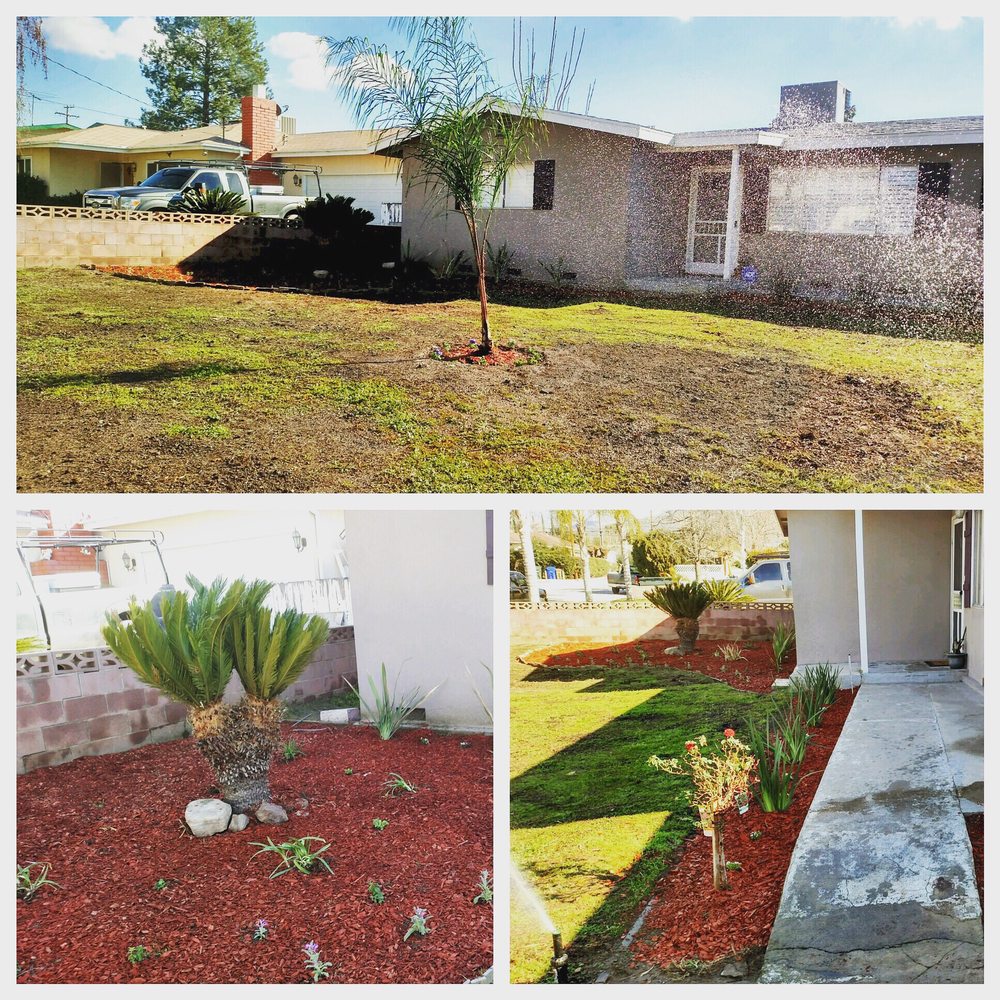 Pedro's Jr Landscaping