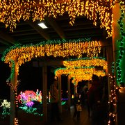 Bellevue Botanical Garden - 296 Photos & 136 Reviews - Botanical