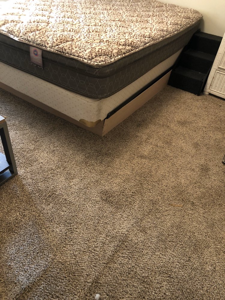 NC Mtn Fresh Carpet Care