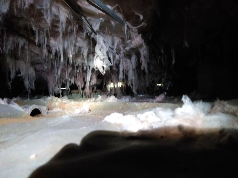 image of business Carolina Crawl Space Care