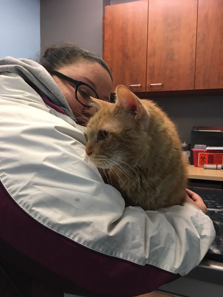 Bronx Veterinary Center of Westchester Square Pet Groomers 66