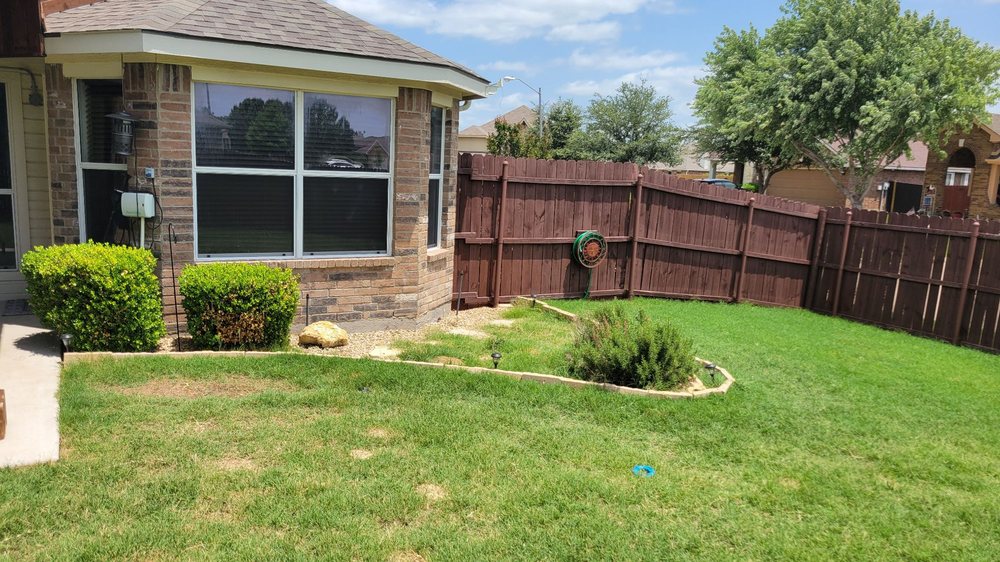 SpringScapes