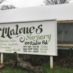 Malone S Nursery 14 Photos Nurseries Gardening 100 Radio Rd Photo Of Malone S Nursery Charlotte Nc United States