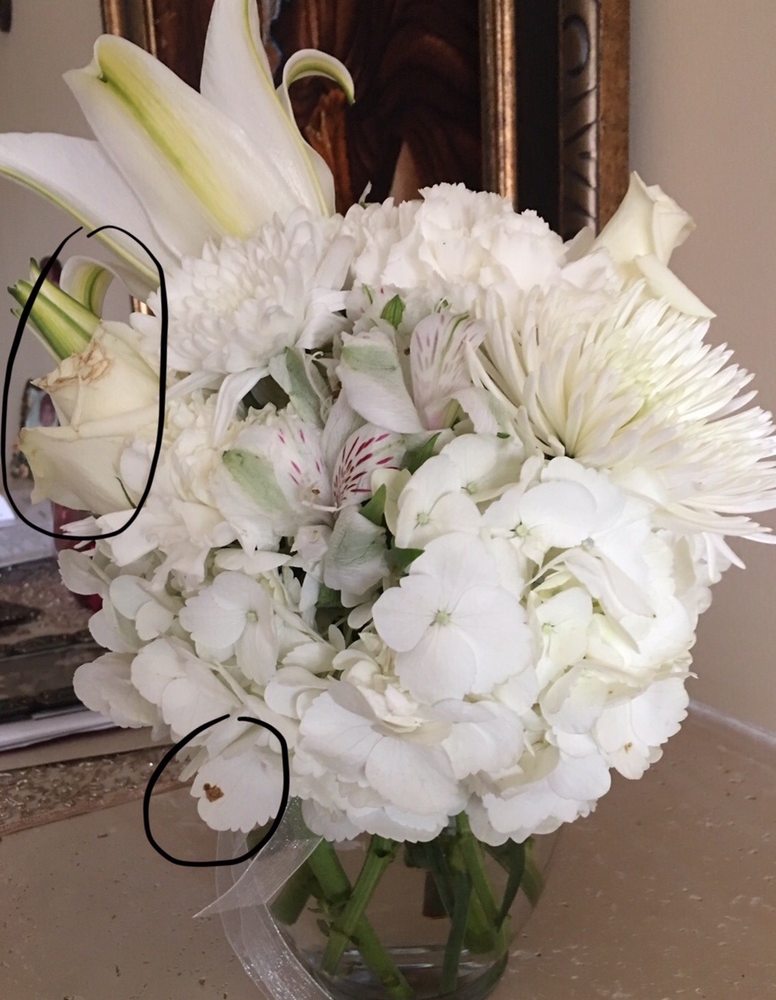 K1 Floral Studio