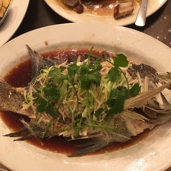 Seafood Restaurants In St Petersburg Florida Best Abc Seafood Chinese Restaurant 176 Photos 179 Reviews