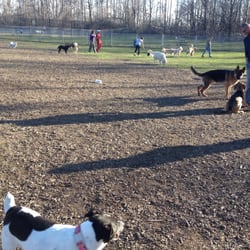 Leash Free Dog Park Brampton Leash Free Dog Park Brampton