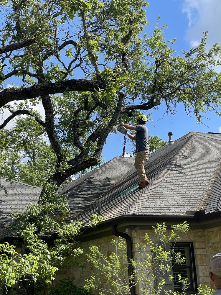 Simple Leaf Tree Care