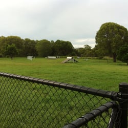 Photo Of Tuckeroo Park Nudgee Beach Queensland Australia Photo Of Tuckeroo Park Nudgee Beach Queensland Australia