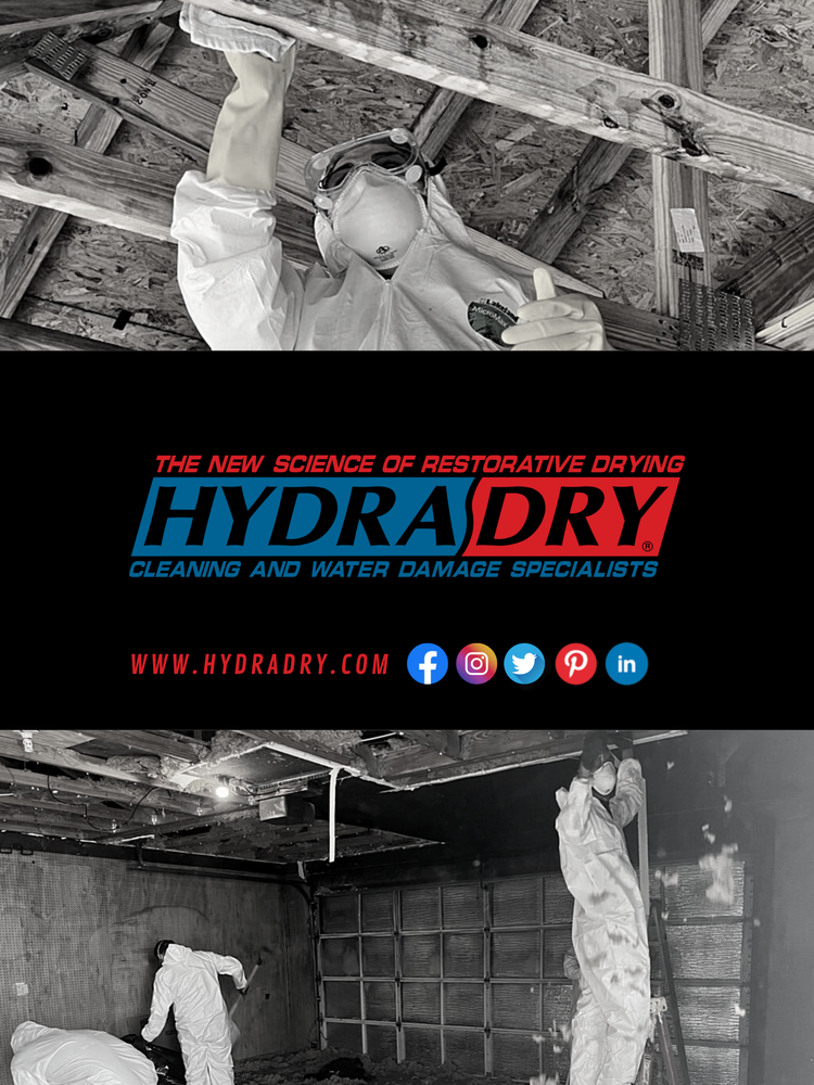 image of business HydraDry