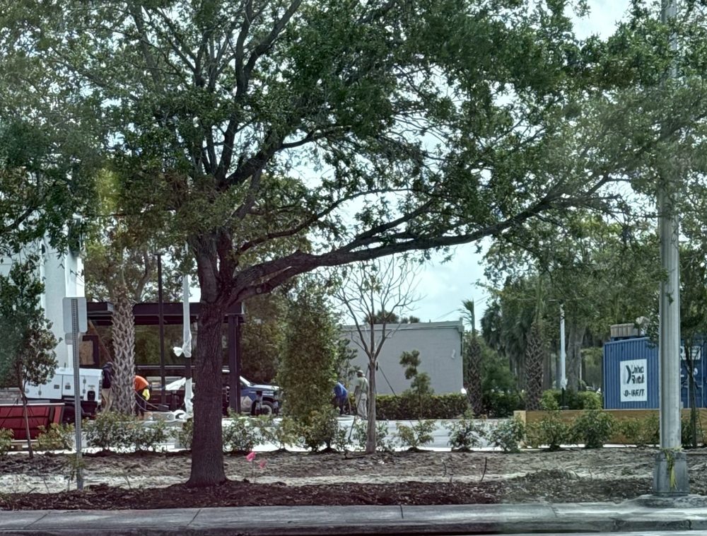Raising Cane’s Chicken Fingers