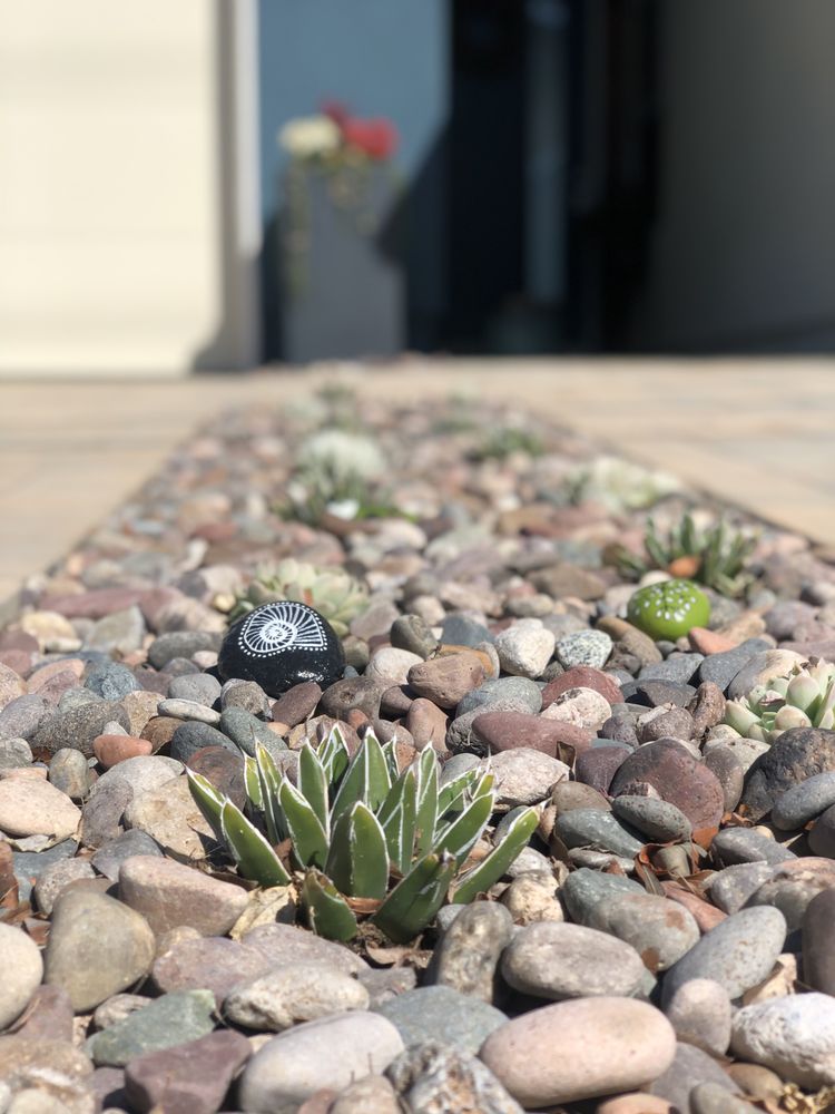 image of business EcoDesignSD