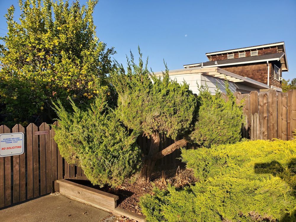 JDH Garden Services