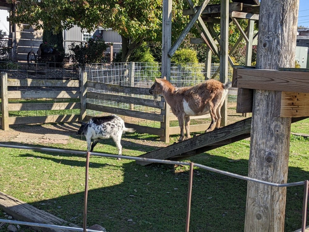 Ard's Farm