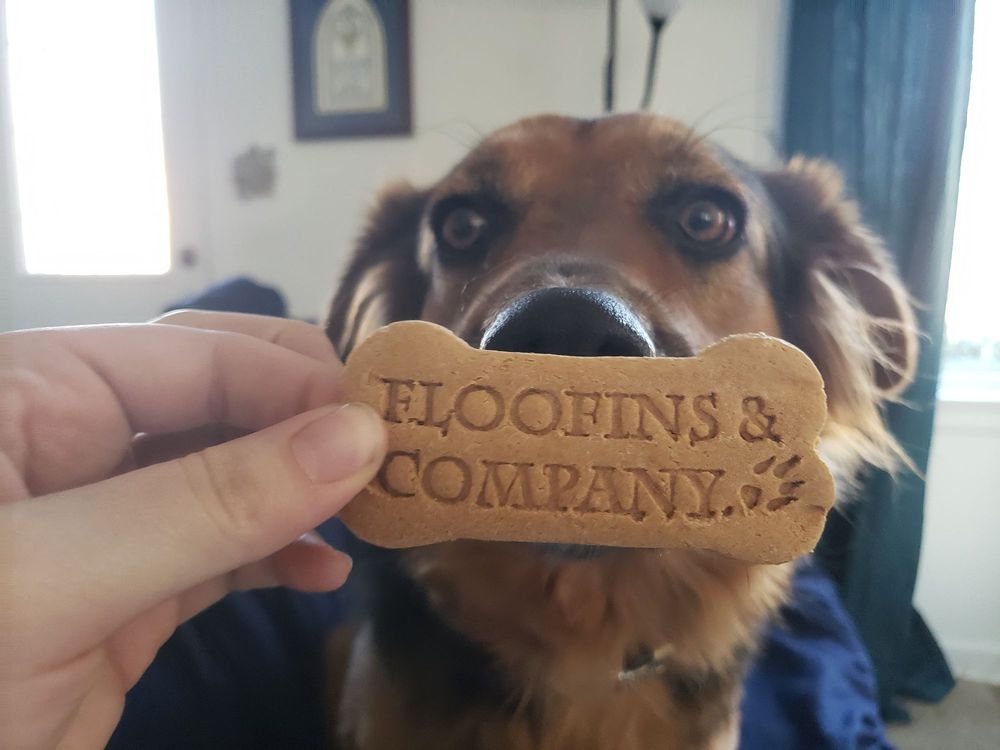Floofins & Co.