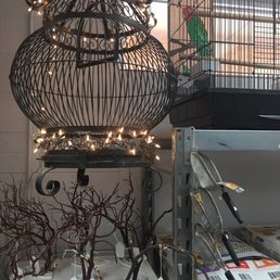 photos for arizona bird store yelp photos for arizona bird store yelp
