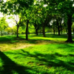 4 D Landscape Irrigation Get Quote 10 Photos Landscaping Photo Of 4 D Landscape Irrigation Lawton Ok United States