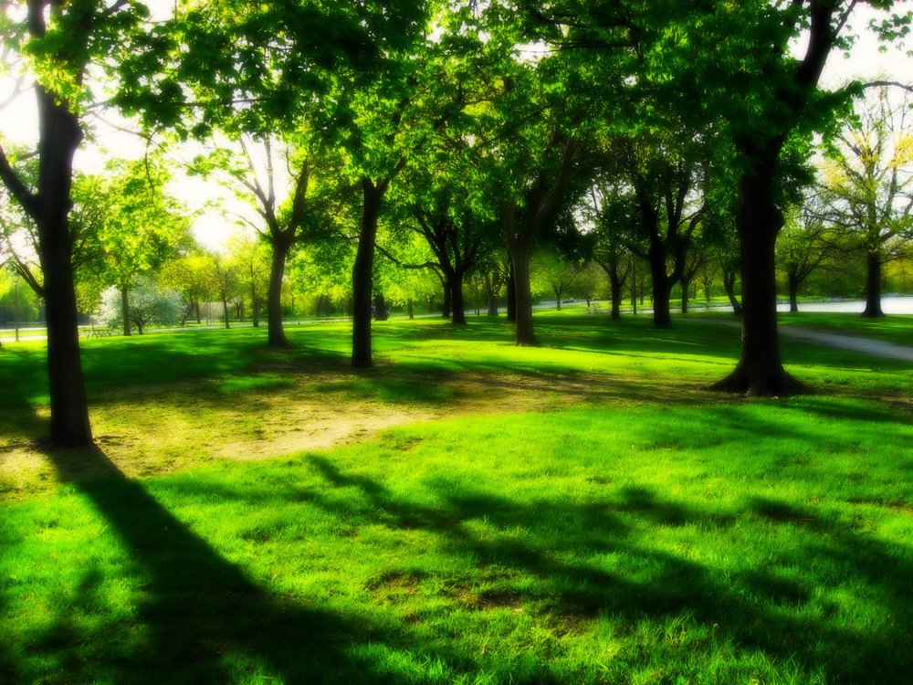4 D Landscape Irrigation 12502 Sw Lee Blvd Lawton Ok 4 D Landscape Irrigation 12502 Sw Lee Blvd Lawton Ok