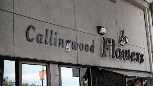 Callingwood Flowers
